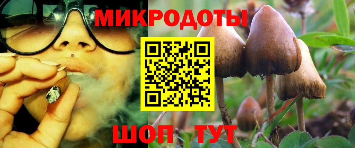 Псилоцибиновые грибы GOLDEN TEACHER  Вход с VPN  Кудрово 