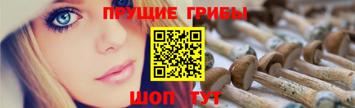 Псилоцибиновые грибы мухоморы Кудрово