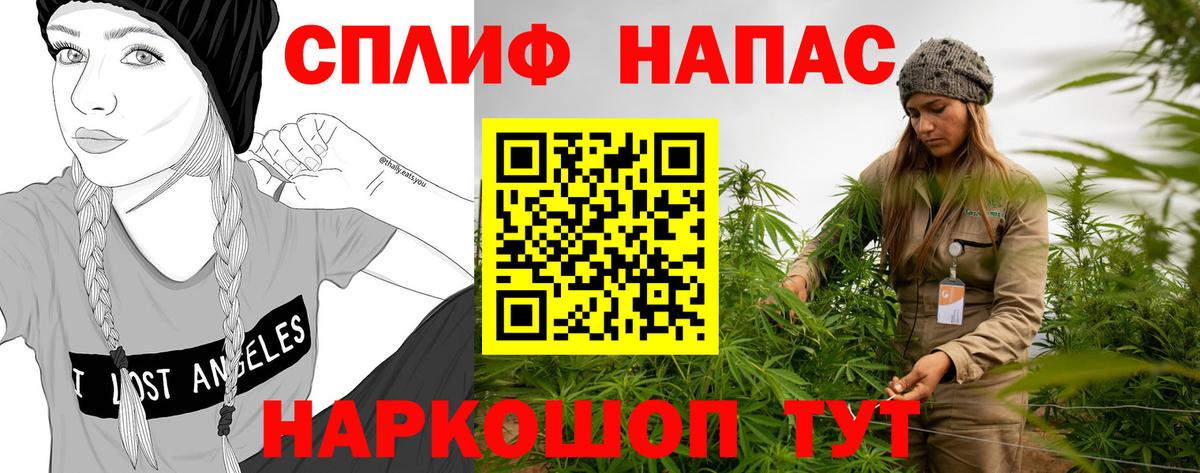 Бошки марихуана OG Kush Кудрово
